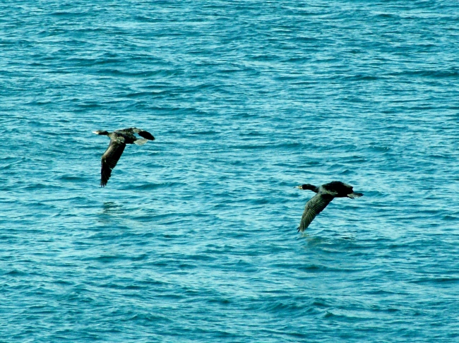 Porticciolo romano - Formia